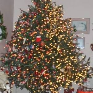 Meet your Posher, Vicki